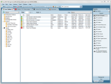 IssueNet Issue Management Software GUI